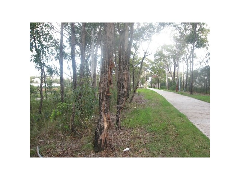 50 Moala Parade, Charmhaven NSW 2263