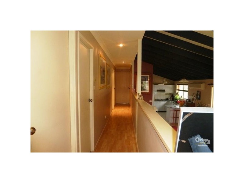5 Cribb Street, Berkeley NSW 2506