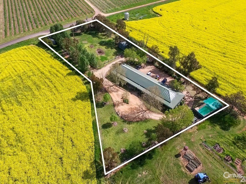 42 Chardonnay Rd, Cowra NSW 2794
