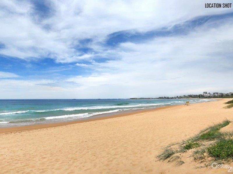 55 Donald Street, Fairy Meadow NSW 2519