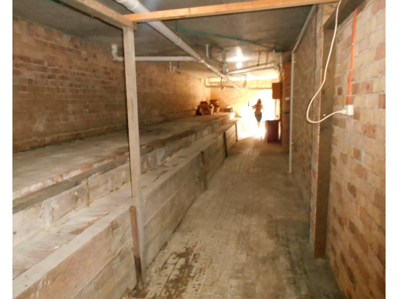 22 Arvenis Crescent, Balgownie NSW 2519