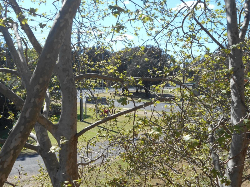 9/17 Virginia Street, North Wollongong NSW 2500