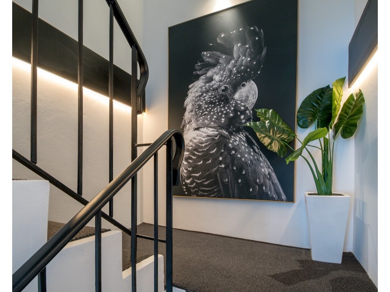 1/7  David Street, Wollongong NSW 2500