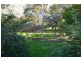8 Pidcock Street, Camperdown NSW 2050