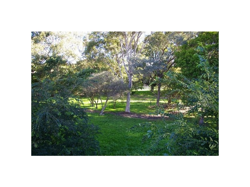 8 Pidcock Street, Camperdown NSW 2050