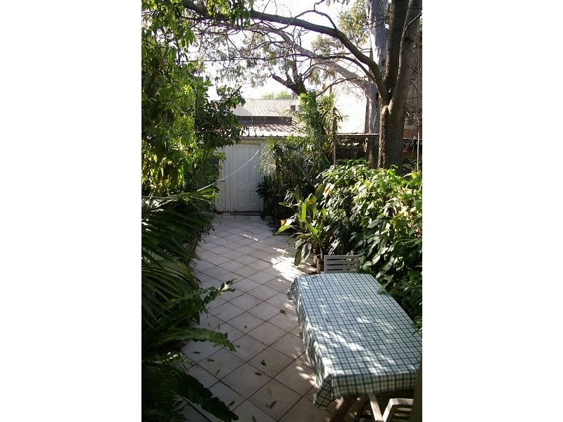 24 Pidcock Street, Camperdown NSW 2050