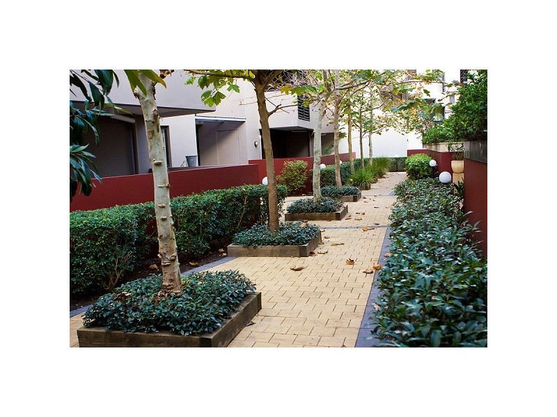 53/11-21 Rose Street, Chippendale NSW 2008