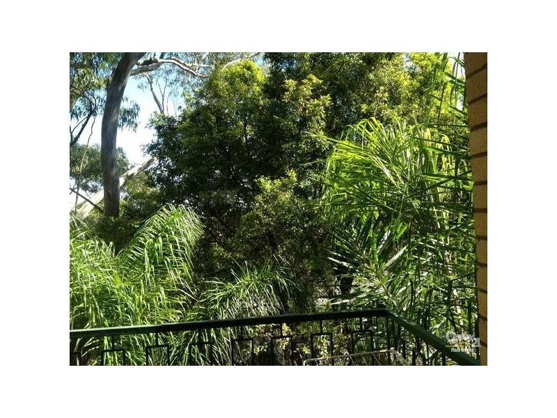 22/446 PACIFIC HIGHWAY, Lane Cove NSW 2066