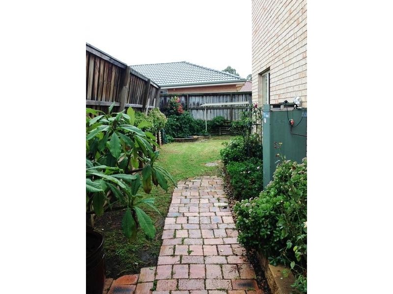 3 Amy Place, Narellan Vale NSW 2567