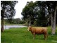 Varroville NSW 2566