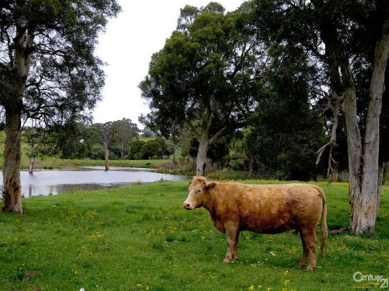 Varroville NSW 2566