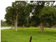Varroville NSW 2566