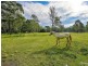 47 Gregory Road, Leppington NSW 2179