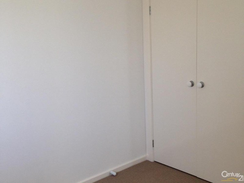 19 Garton Road, Spring Farm NSW 2570