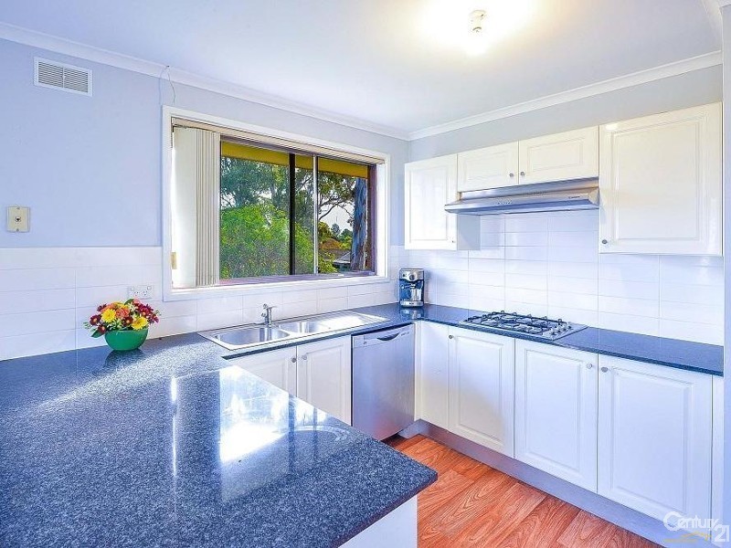 4 Lisa Close, Narellan NSW 2567