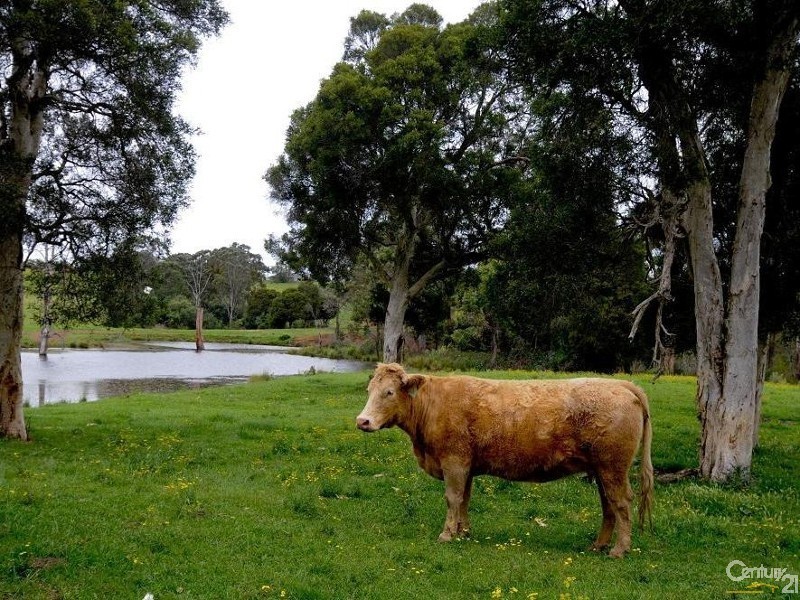 68 Raby Road, Varroville NSW 2566