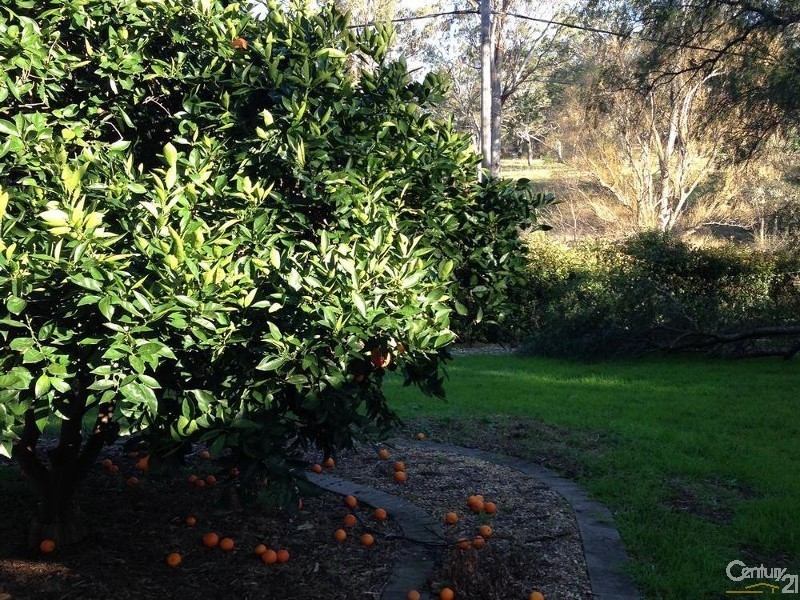 45 Elizabeth Macarthur, Camden South NSW 2570