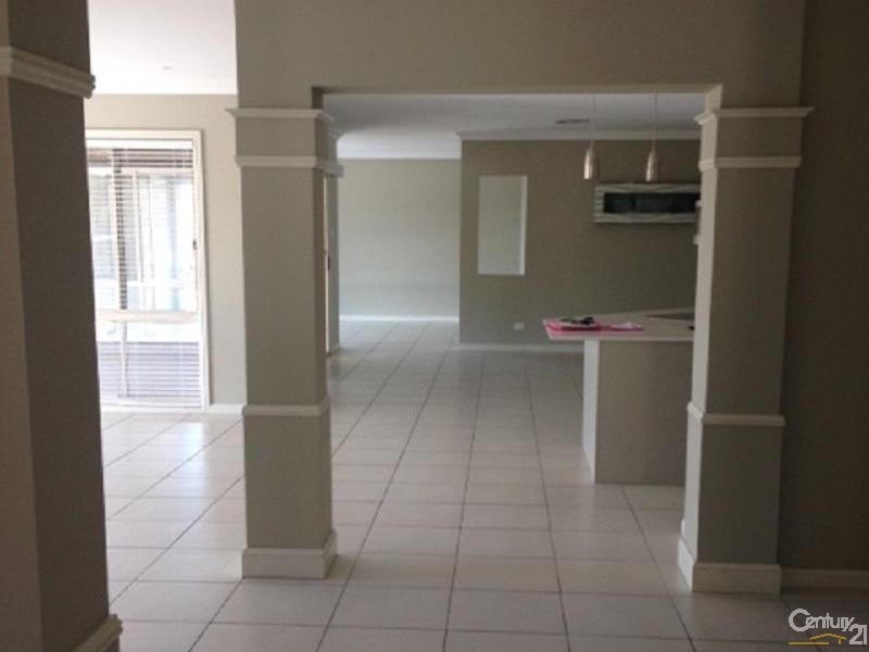 17 Folkes Street, Elderslie NSW 2570