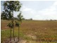LOT 424 Caulfield Street, Currans Hill NSW 2567