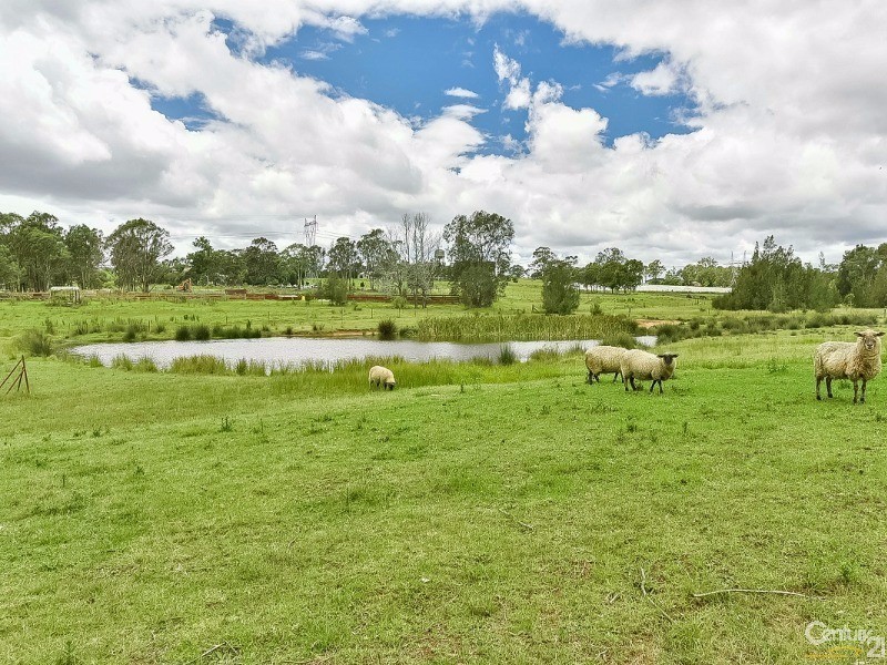 66 Riley Road, Leppington NSW 2179