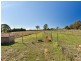 102 Springfield Road, Catherine Field NSW 2557