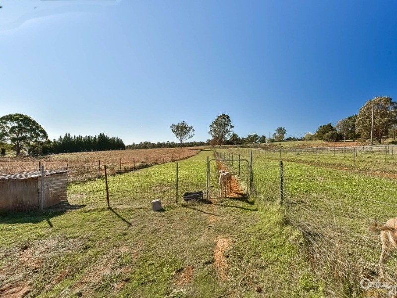 102 Springfield Road, Catherine Field NSW 2557