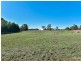 102 Springfield Road, Catherine Field NSW 2557