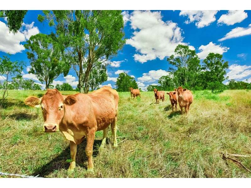 120 – 140 Carr Road, Bringelly NSW 2556