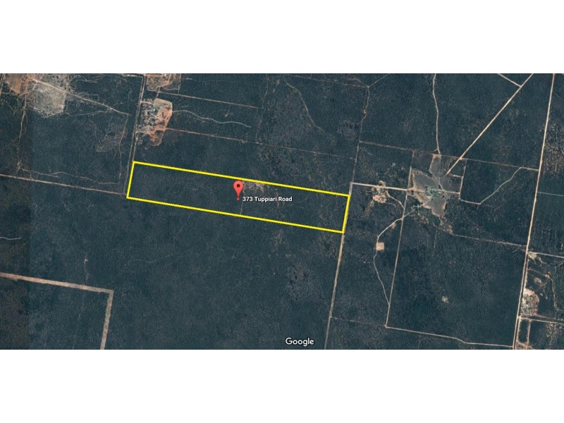 373 Tuppiari Road, Jacks Creek NSW 2390