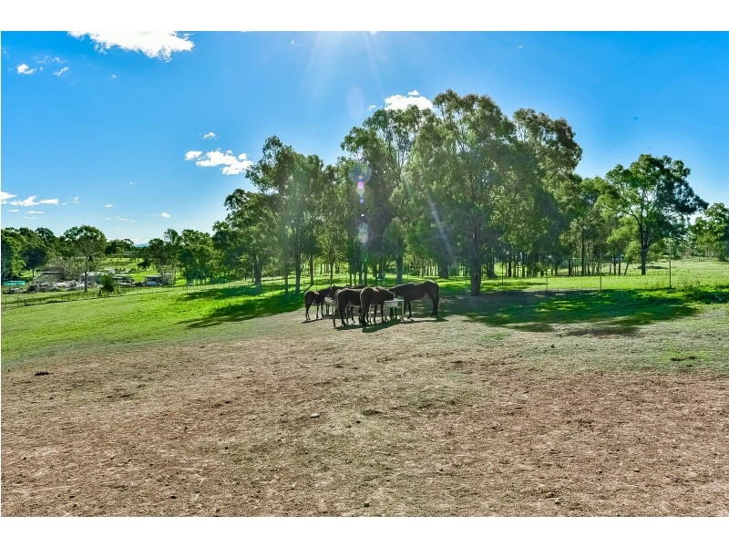 248 Eastwood Road, Leppington NSW 2179