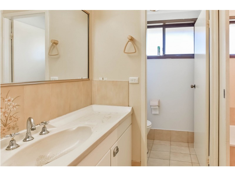 102 Springfield Road, Catherine Field NSW 2557