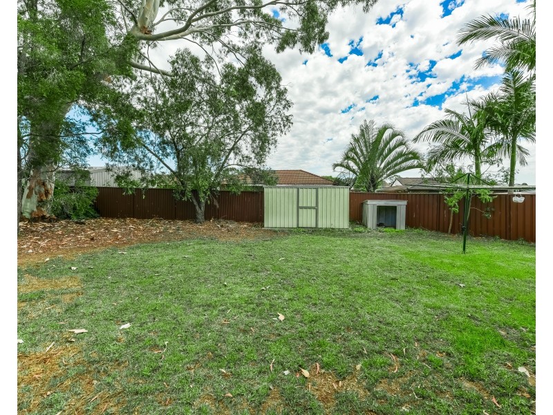 6 Cosmos Place, Macquarie Fields NSW 2564