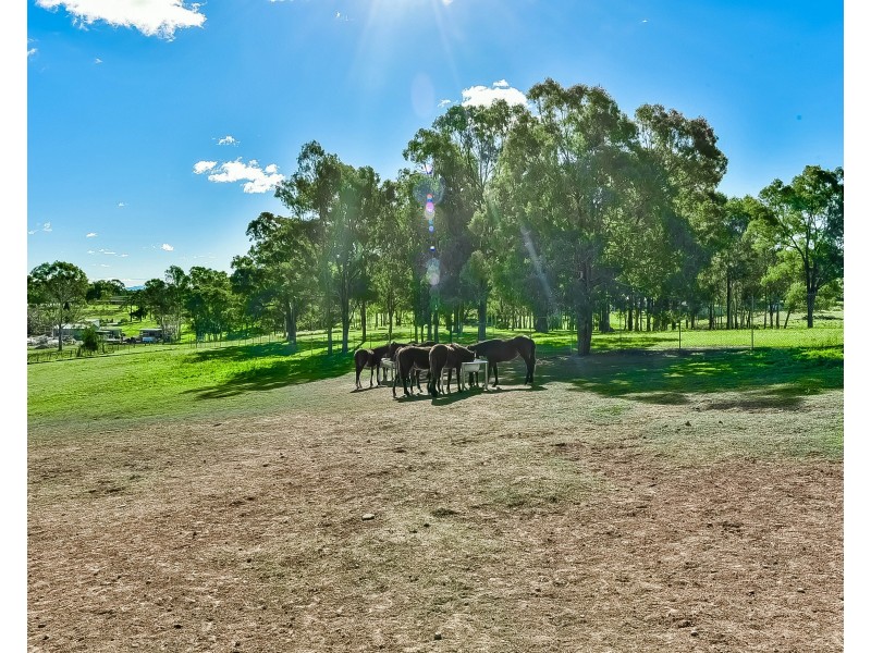 248 Eastwood Road, Leppington NSW 2179