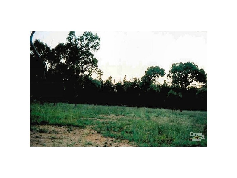 Premer NSW 2381