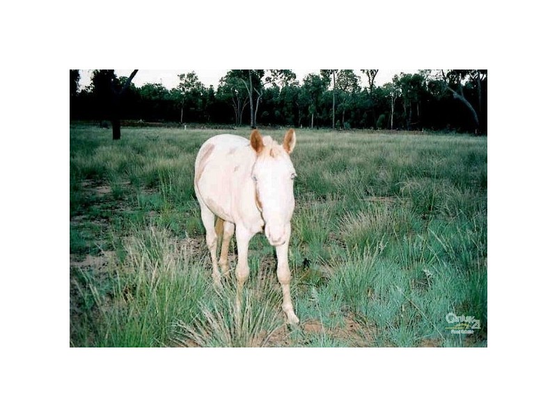 Premer NSW 2381