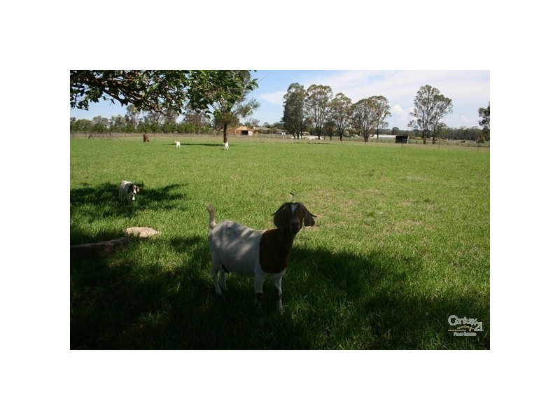 205 Ingleburn Rd, Leppington NSW 2179