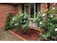 Harrington Park NSW 2567
