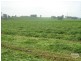 Cobbitty NSW 2570