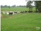 Cobbitty NSW 2570