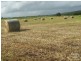 Cobbitty NSW 2570