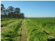 Cobbitty NSW 2570