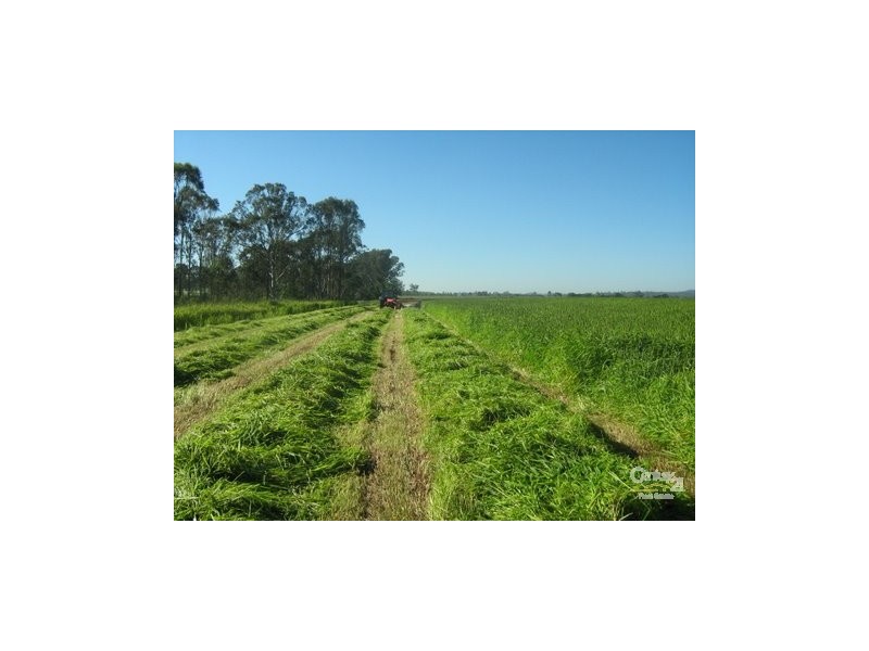 Cobbitty NSW 2570