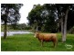 Varroville NSW 2566