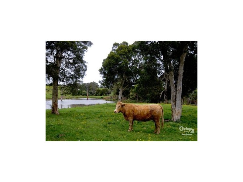 Varroville NSW 2566