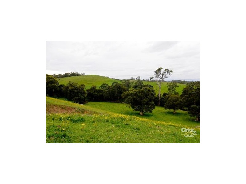 Varroville NSW 2566