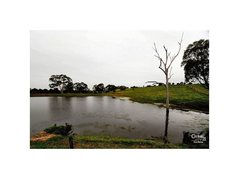 Varroville NSW 2566