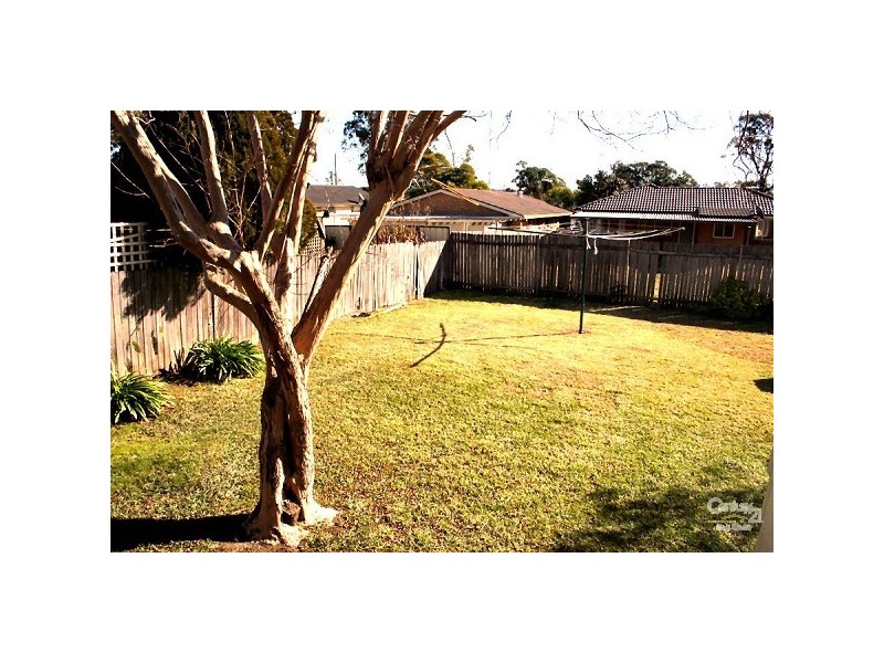 19 McCRAE DRIVE, Camden NSW 2570