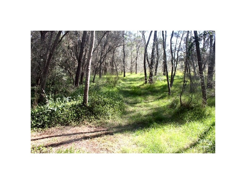 Catherine Field NSW 2557