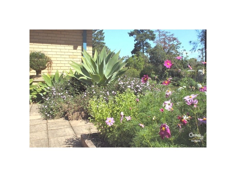 Catherine Field NSW 2557