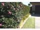 32 Cruikshank Ave, Elderslie NSW 2570